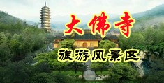 小骚逼逼大鸡巴捅的视频中国浙江-新昌大佛寺旅游风景区